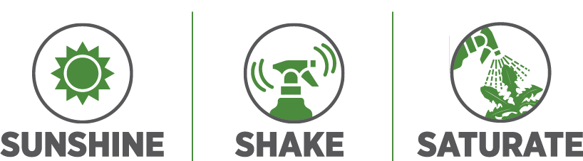 Sunshine-Shake-Saturate